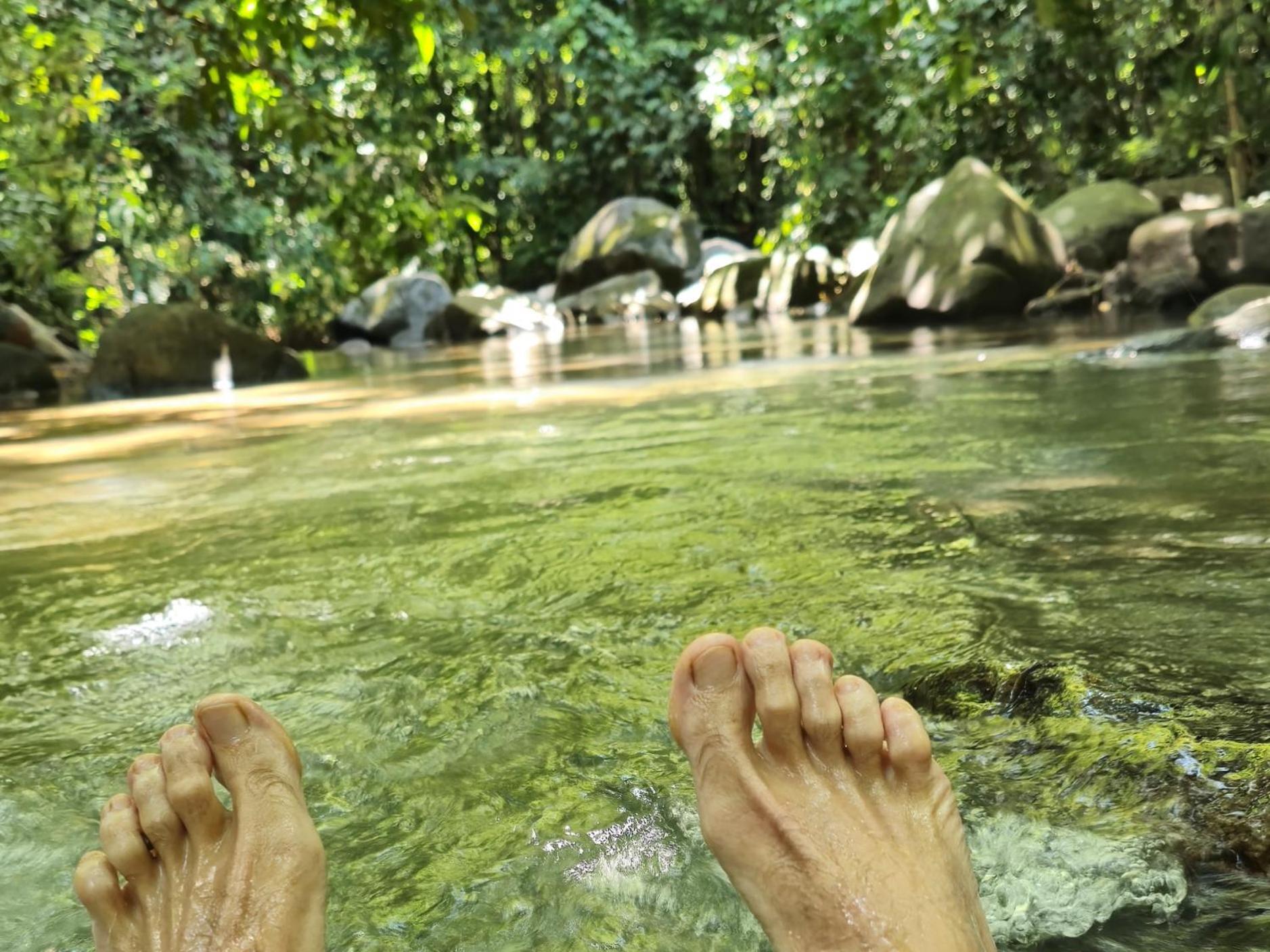 Cool Waters Jungle Villas Uvita Exteriér fotografie