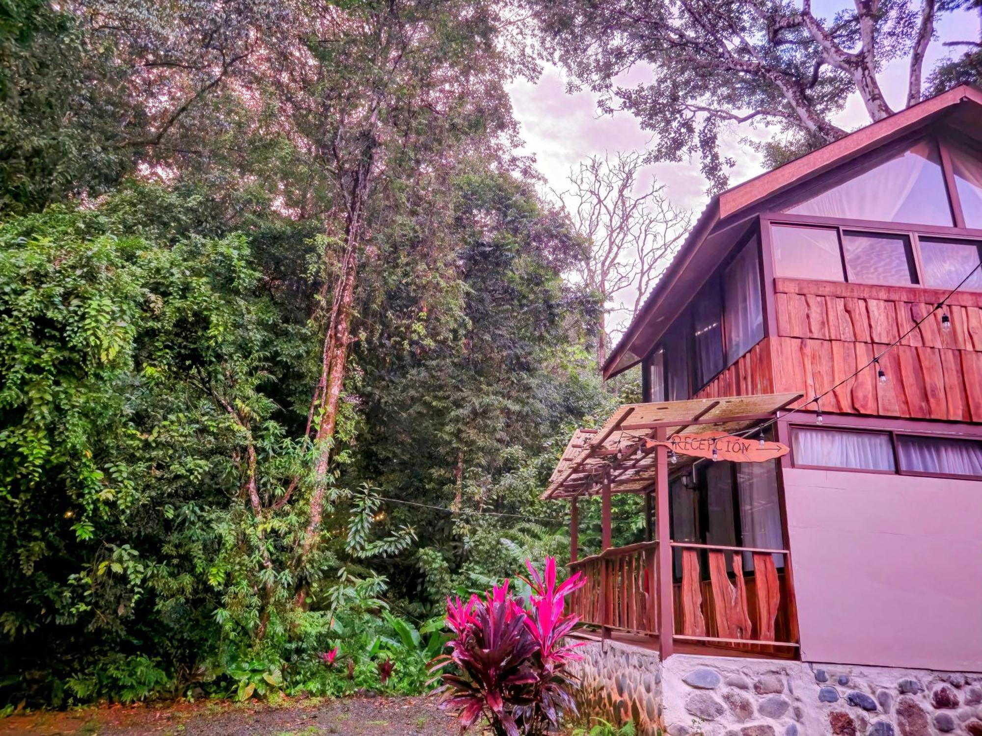 Cool Waters Jungle Villas Uvita Exteriér fotografie