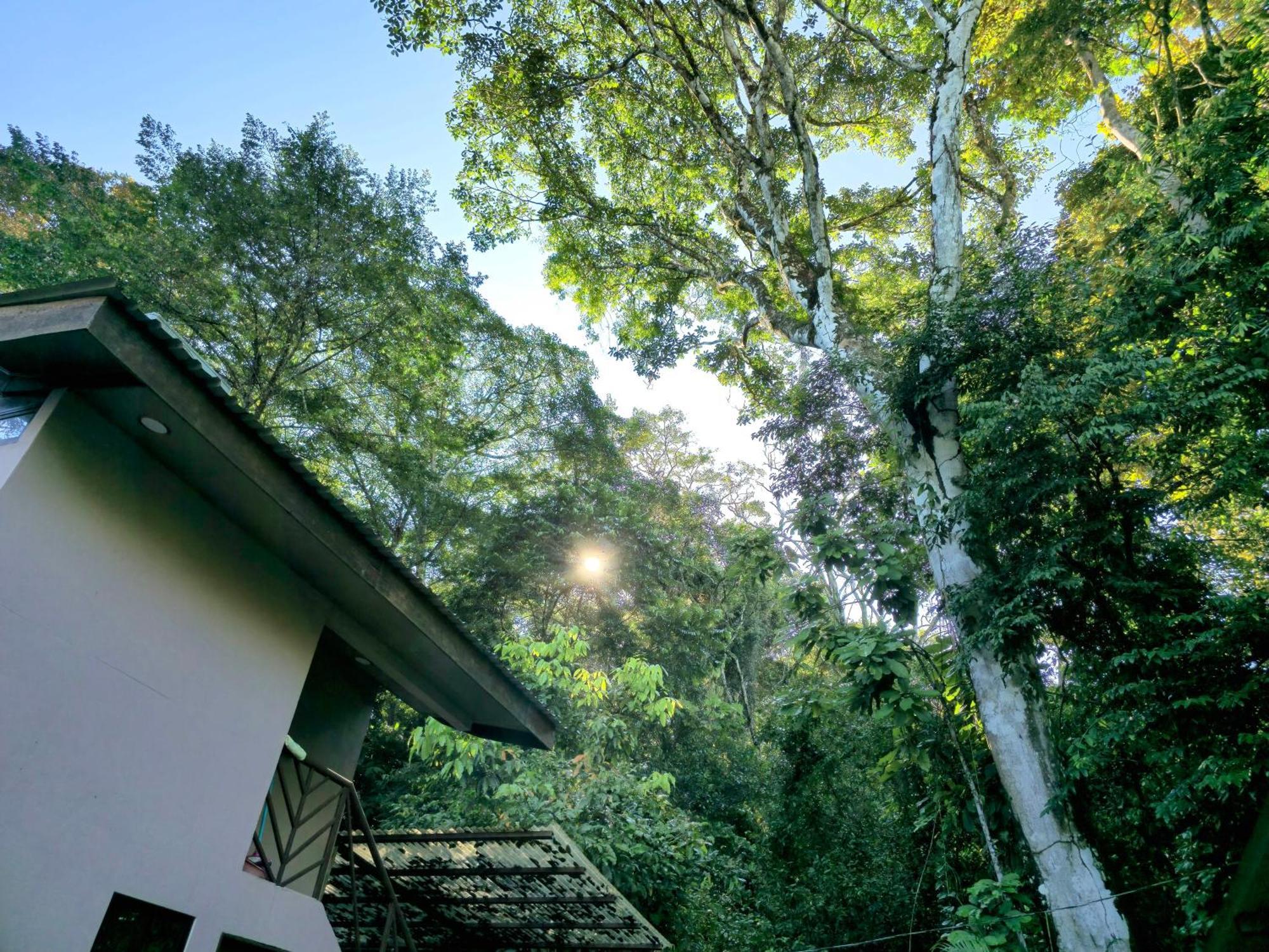 Cool Waters Jungle Villas Uvita Exteriér fotografie