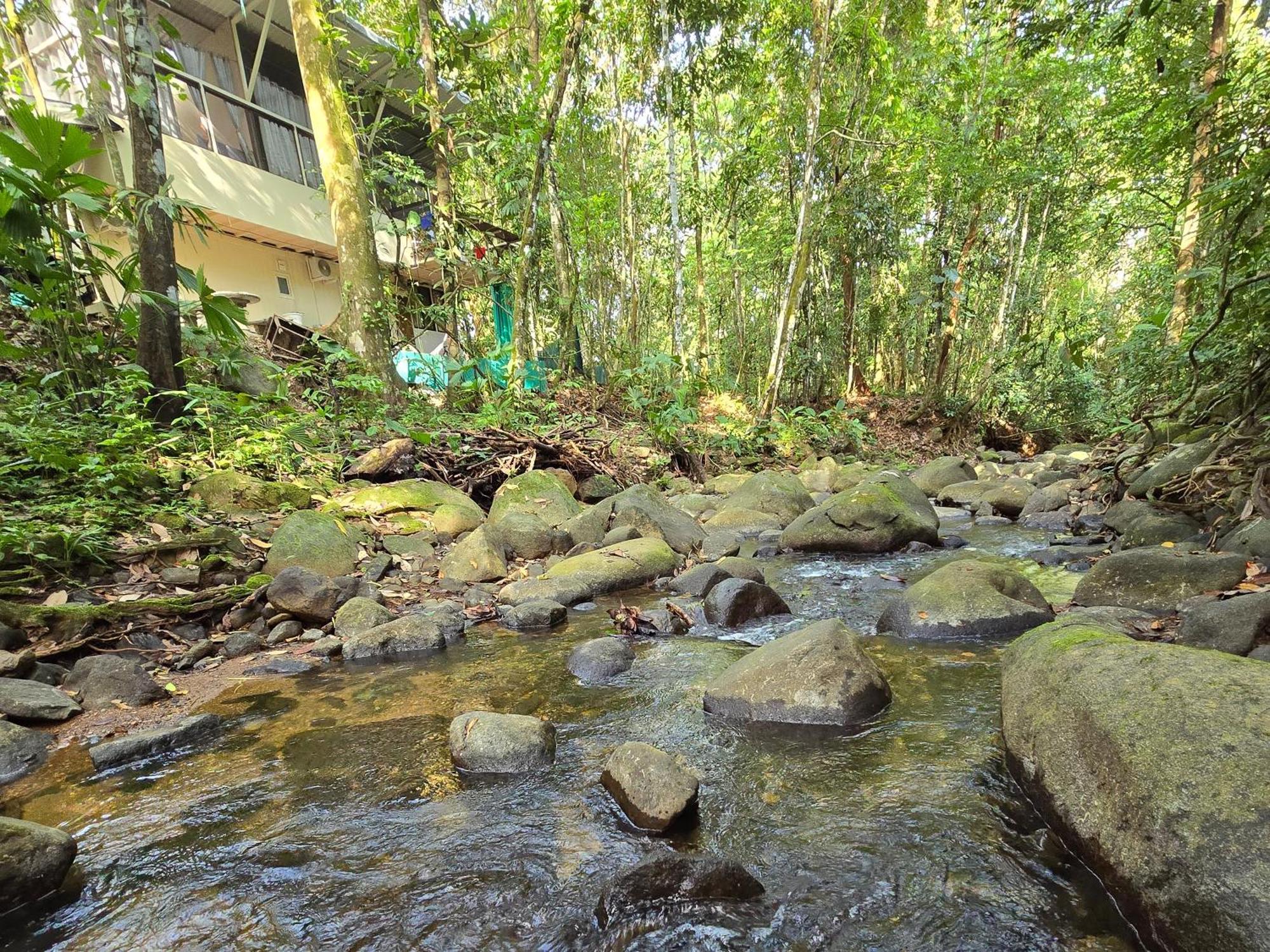 Cool Waters Jungle Villas Uvita Exteriér fotografie
